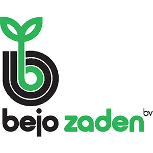 Насіння Bejo Zaden по доступній ціні в магазині Флоріум.
