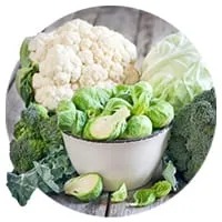 Семена капусты 🍀 по доступной цене в магазине Флориум.