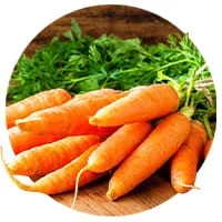 Семена моркови 🥕 по доступной цене в магазине Флориум.