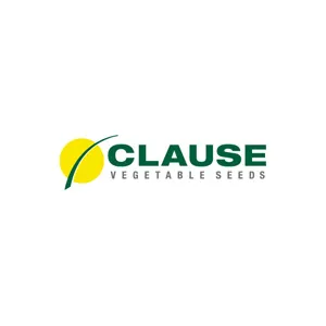 Насіння Clause по доступній ціні в магазині Флоріум.