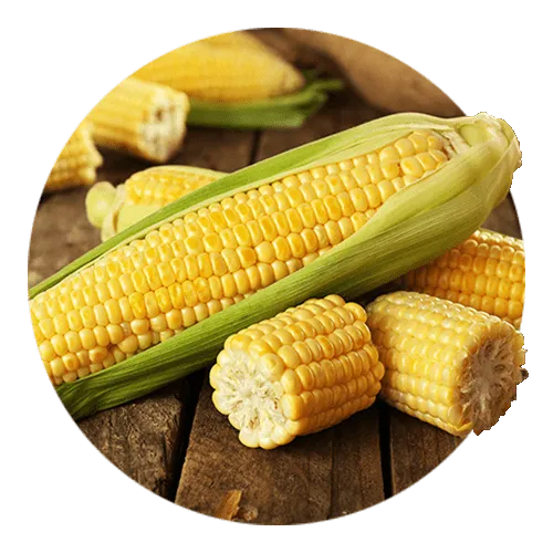 Семена кукурузы 🌽 по доступной цене в магазине Флориум.