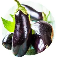 Семена баклажанов 🍆 по доступной цене в магазине Флориум.