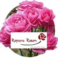 Розы Ропару по доступной цене в магазине Флориум.