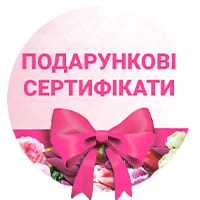 Подарочные сертификаты Купить