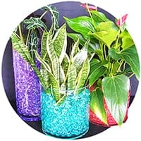 Гидрогель Купить