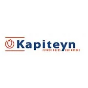 Kapiteyn по доступній ціні в магазині Флоріум.