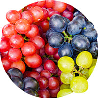 Купить саженцы винограда из питомнинка в Украине и Киеве - Florium