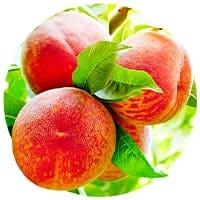 Саджанці персика Купити