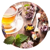 Семена пряностей по доступной цене в магазине Флориум.