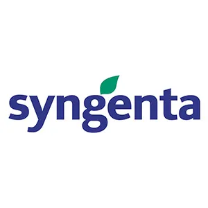 Насіння Syngenta по доступній ціні в магазині Флоріум.