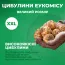 Эукомис Pole-Evansii фото