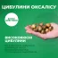 Оксалис (кислица) Triangularis фото