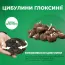 Глоксиния Violacea (Длительное цветение) фото