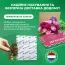 Канна Centurion фото