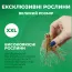 Вероника Rotfuchs фото