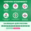 Флокс Snowflake фото