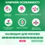 Ирис мечевидный Variegata фото
