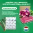 Ирис Spring Madnes фото