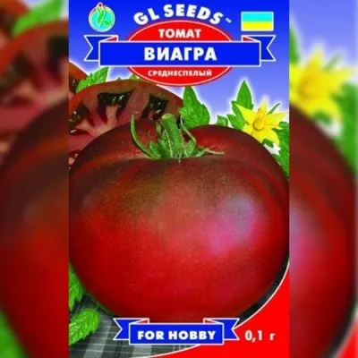 Помідор Віагра фото