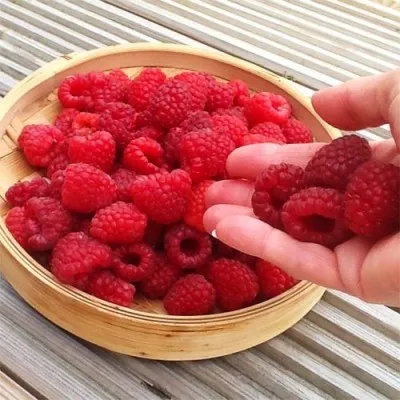 Малина Моллінг Проміс фото