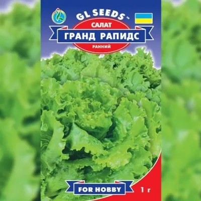Салат Гранд Рапідс фото