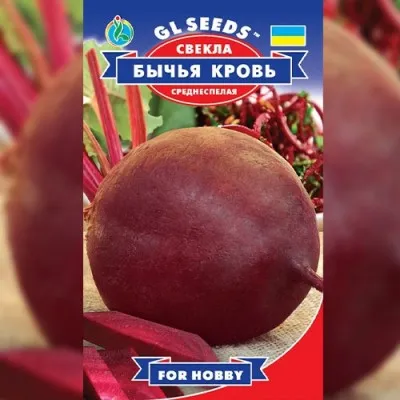 Буряк Бича кров фото