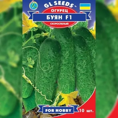 Огiрок Буян F1 фото