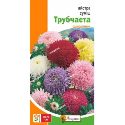 Айстра суміш Трубчаста фото