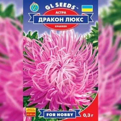Айстра Дракон Люкс фото