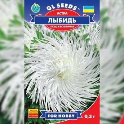 Айстра Либiдь фото