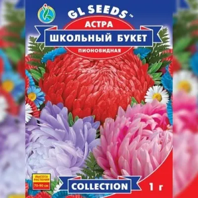 Айстра Шкільний Букет фото