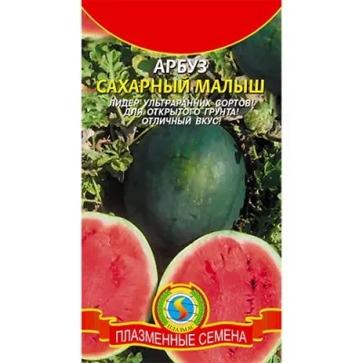 Кавун Цукровий малюк фото