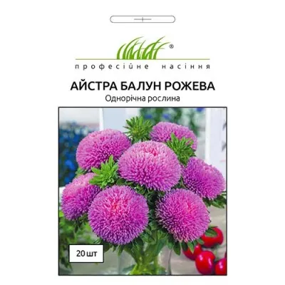 Айстра Балун рожева фото