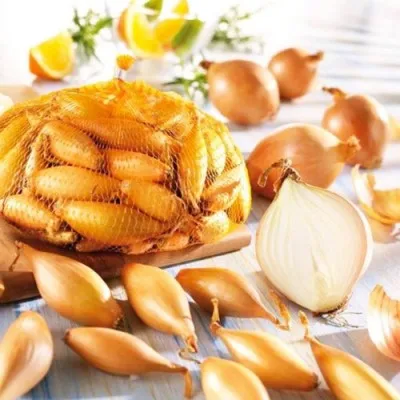 Цибуля Birnformige Озима 10 кг фото