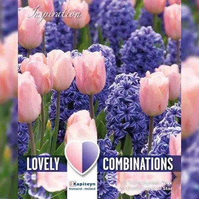 Комбо Гіацинти Blue і Тюльпани PInk (Брендові цибулини KAPITEYN®) фото