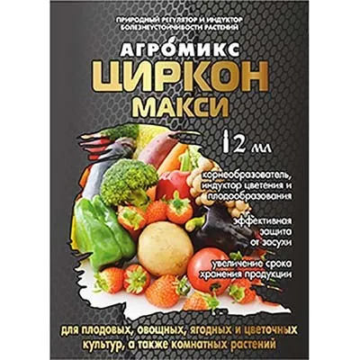 Циркон Максі фото