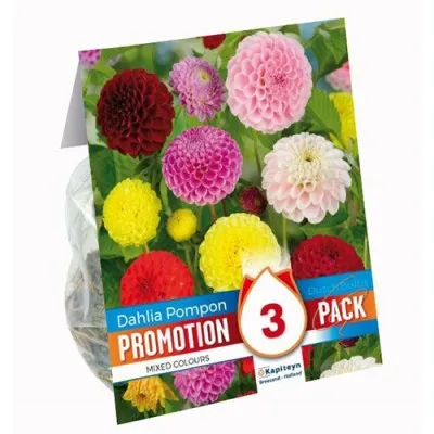 Промо-пак Pompon Mixed Colours фото