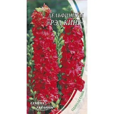 Дельфініум Ред Кінг фото