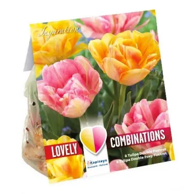 Комбо Тюльпани Double Orange & Pink (Брендові цибулини KAPITEYN®) фото