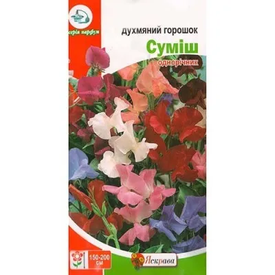 Горошок Духмяний суміш фото