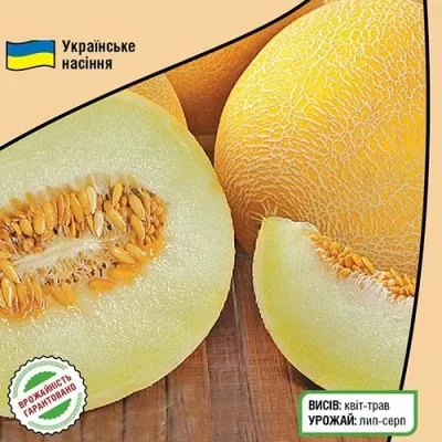 Диня Тітовка фото