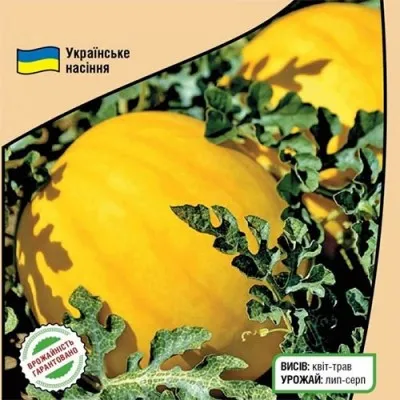 Диня Золотиста фото