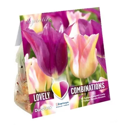 Комбо Тюльпани Duopack Lilyflowered Purple Pink (Брендові цибулини KAPITEYN®) фото