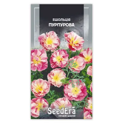Ешольція пурпурова фото