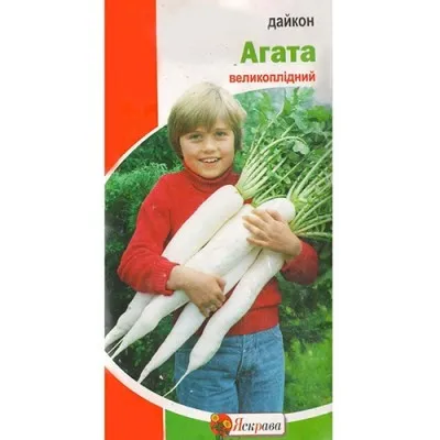 Дайкон Агата фото