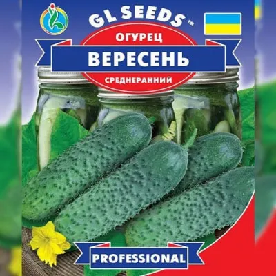Огiрок Вересень фото