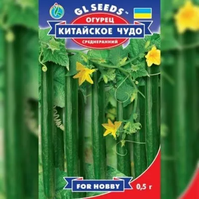 Огiрок Китайське чудо фото