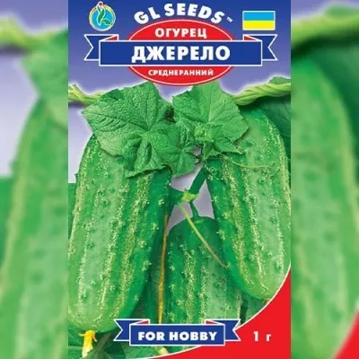Огiрок Джерело фото