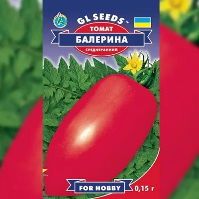 Помідор Балерина фото
