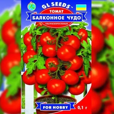 Помідор Балконне диво фото